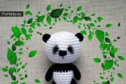 Master class on knitted panda