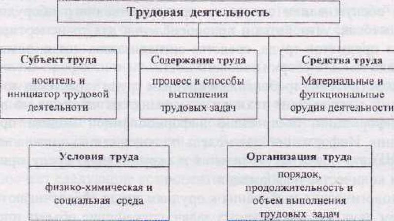 Активности в трудовой деятельности. Структура трудовой деятельности. Трудовая деятельность схема. Схема виды трудовой деятельности. Структура трудовой деятельности в психологии.